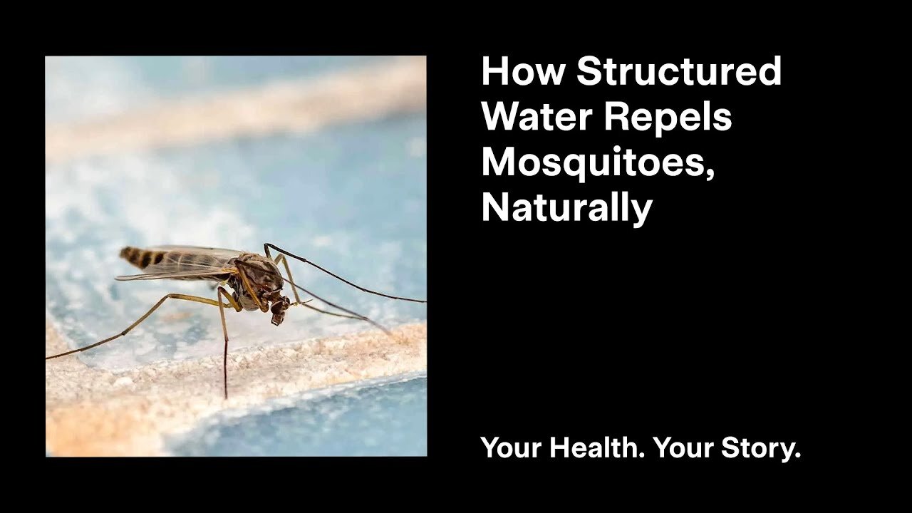 How Structured Water Repels Mosquitoes, Naturally