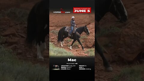 Ｍ▲Ｃ