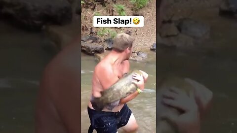 The fish wasn’t goin! 😹💔 #viral #shortvideo #subscribe #reels #funny #lol #viralreels