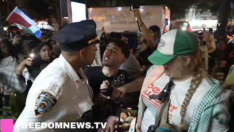 Oh, Chicago Is Going To Be FUN, FUN, FUN! Pro-Hamas Protesters Storm Democrat Party In New York City