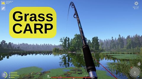 Grass carp caught on potato, first catch, Old Burg lake, Russian fishing 4 game pc