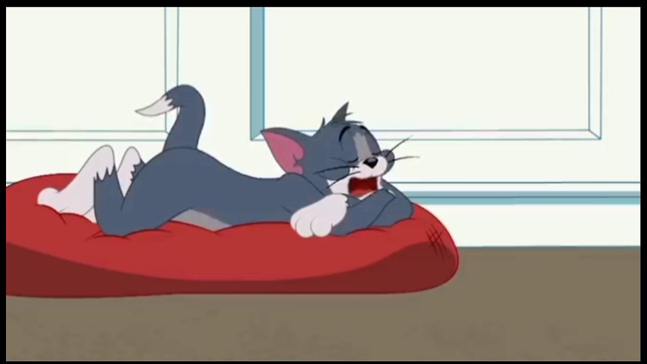 Tom And Jerry Fight