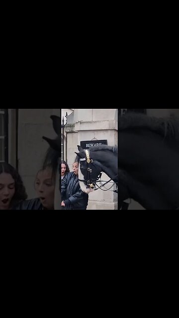 horse scared them #horseguardsparade