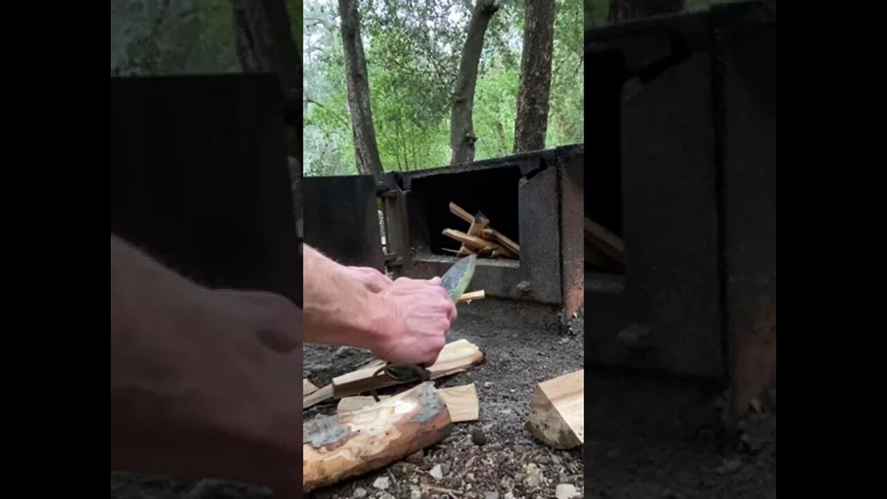 Wet wood 🪵 is not a problem!
