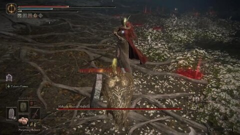 ELDEN RING - Malenia -One Attempt