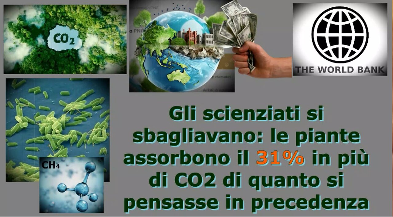 Gli scienziati si sbagliavano: le piante assorbono il 31% in più di CO2