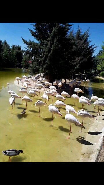 Where to go with children in Tehran, except for playgrounds?