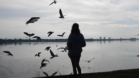 Feeding Seagulls #NatureInYourFace