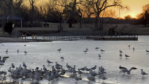 Sunset on the frozen lake