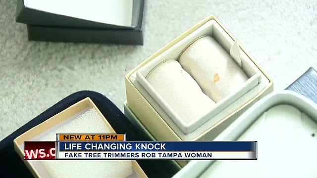 Thieves use 'distraction' tactic to steal jewelry, cash and rare coins from Tampa woman's home