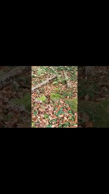 House of yesteryear #metaldetecting #civilwar #trending #shorts #house #foundatiin