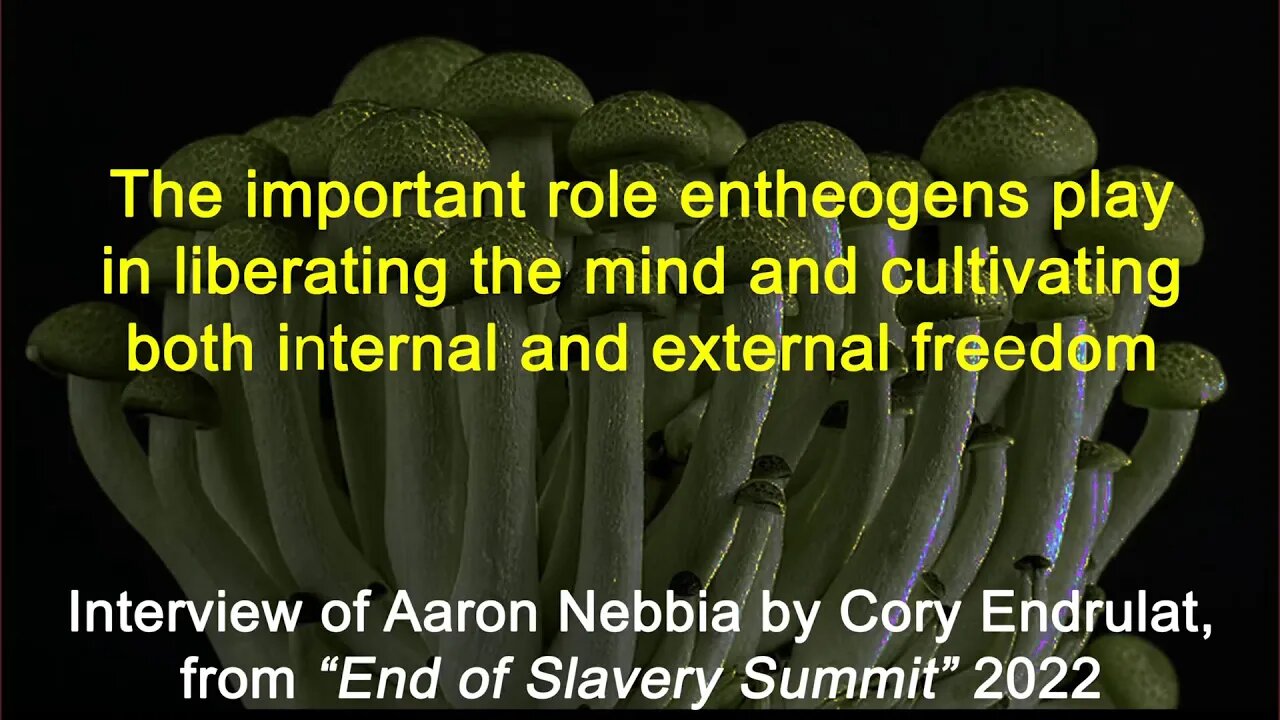 The Role Of Entheogens For Freedom - Aaron Nebbia | The End Of Slavery Summit 2022