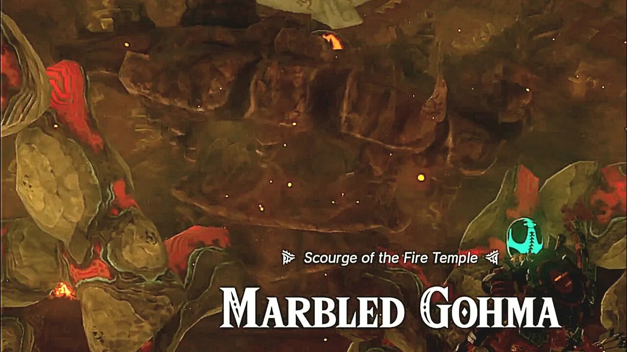 Defeating Marbled Gohma (Scourge of the Fire Temple) - The Legend of Zelda: Tears of the Kingdom