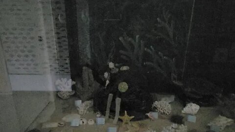 바닷속 생물