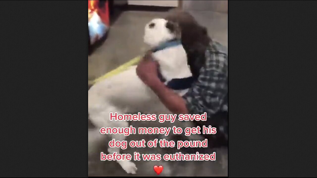 Homeless Guy Saved Enough Money To Get His Dog Out of the Pound