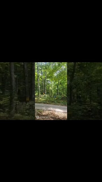 Butterfly being born