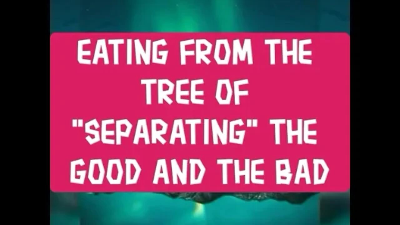 Night Musings # 273 - Eating From The Tree Of "Separating" The Good And The Bad... Within Our Mind 🧠