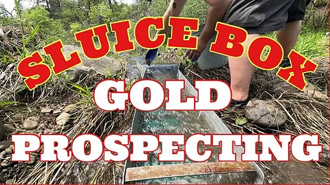 😮 SLUICE BOX GOLD PROSPECTING - DO WE GET LUCKY ? 🤩 #gold #goldmining #goldrush