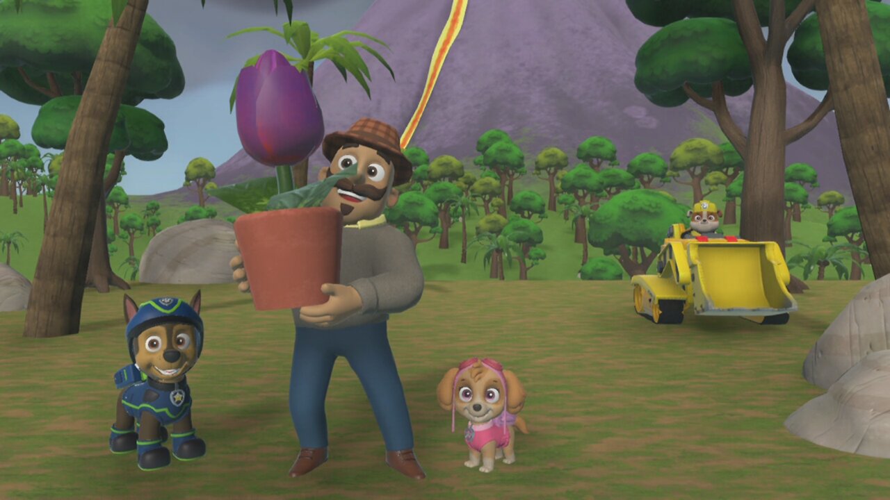 PAW Patrol on a Roll Episode 11