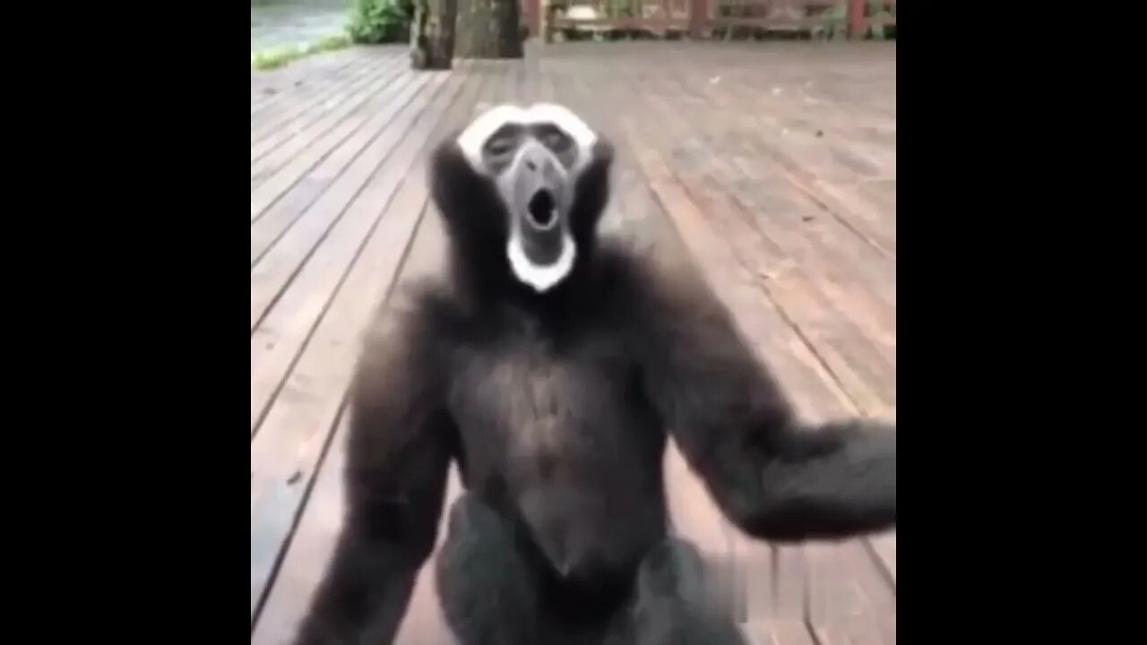 Funny video 2023 05 07 21 51 39 Episode 04