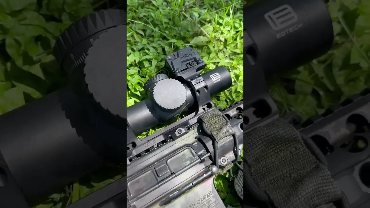 Top vote: LPVO with Top Dot- EOTECH VUDU with Steiner MPS