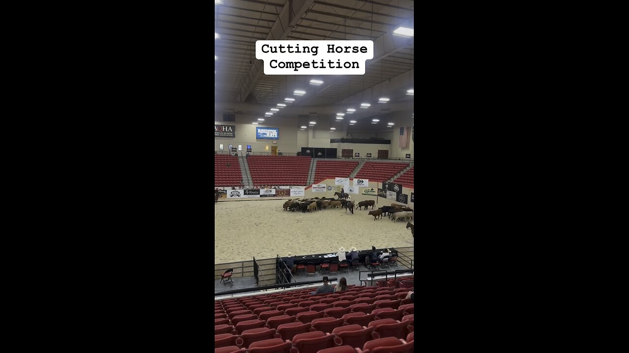 Cutting Horse Competition