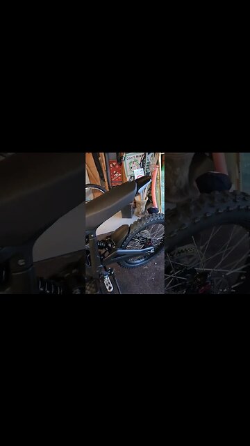 Talaria Sting first look