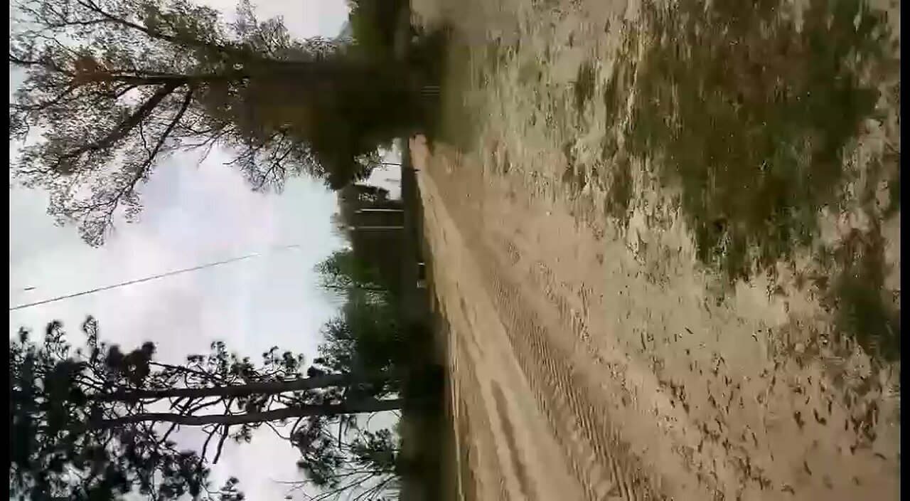01 yz125 wheelie’s