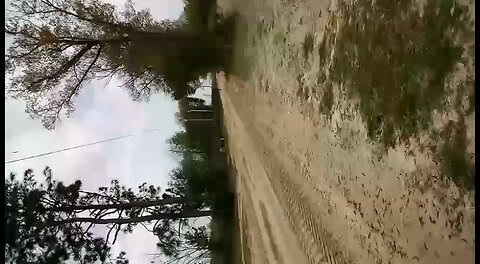 01 yz125 wheelie’s