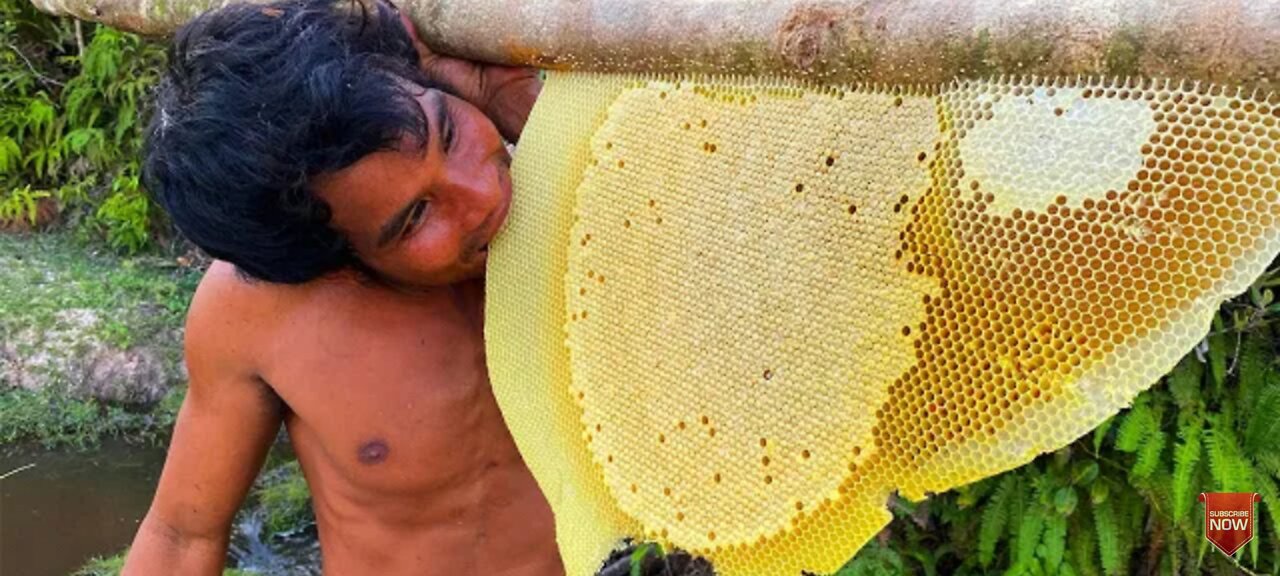 Million Dollars Skill! Brave Millionaire Harvesting Honey Beehive by Hands