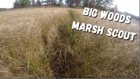 Big Woods Marsh Scout in October | Public Land Marsh