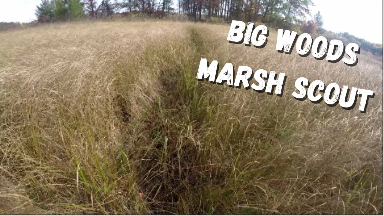 Big Woods Marsh Scout in October | Public Land Marsh