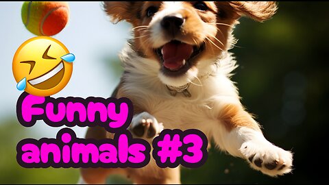 Funny Animals Compilation #3 - #Pets&Giggles #Animals #funny