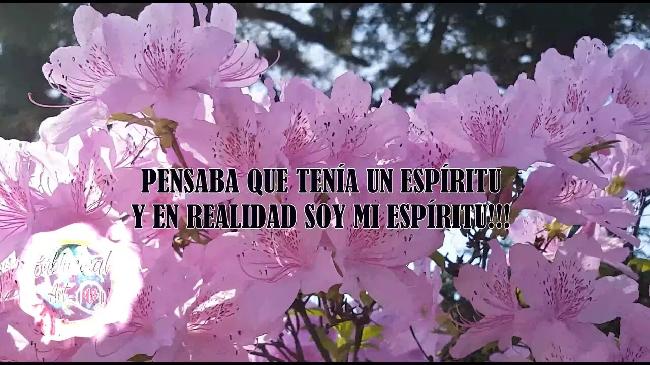 💪🏾✨ESTO TIENES QUE SABERLO YA!!! PARA REALIZARTE EN LO QUE QUIERAS!!!✍️