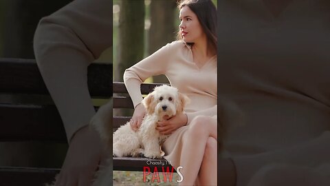 🐶 #PAWS - A Heartwarming Bond: Woman's Gentle Touch and Dog's Joyful Nestle on Park Bench 🐾