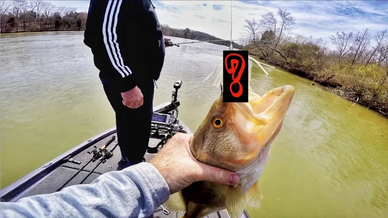 Getting Sneaky on PRESSURED Pre-Spawn Bass!