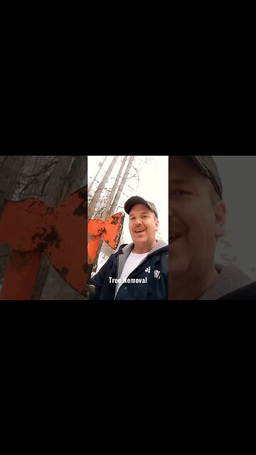 A tree fell across my path. Had to remove it. #shorts