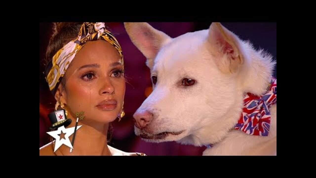 Judges Cry Over Emotional Dog Magic Act on Britain's Got Talent 2020 | Magician's Got Talent