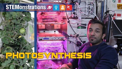 STEMonstration: Photosynthesis