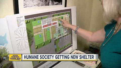 Tampa's Humane Society fundraising for brand new animal shelter