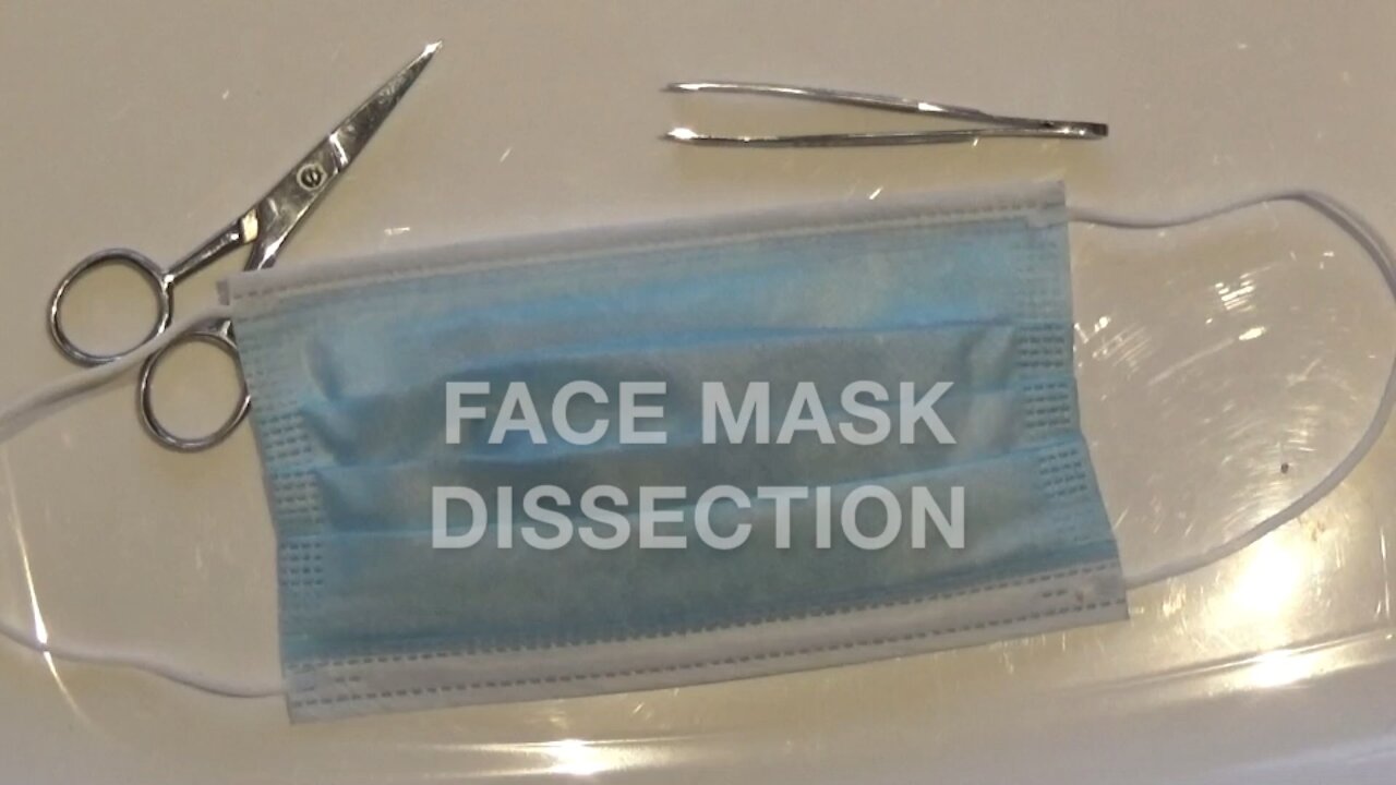 Dissection of a Facemask