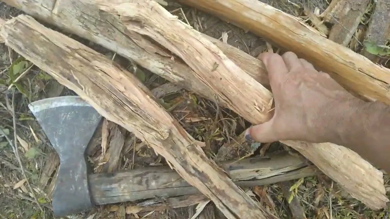 Vamos atrás de lenha para fogão, bora lá...