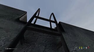 Sometimes all you need is a good teammate DayZ