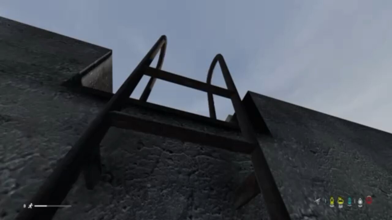 Sometimes all you need is a good teammate DayZ