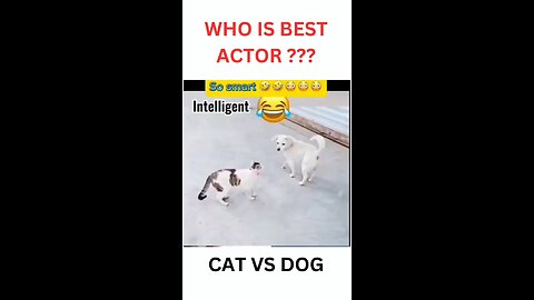 Funny shorts
