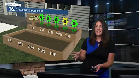 Brittney's Forecast