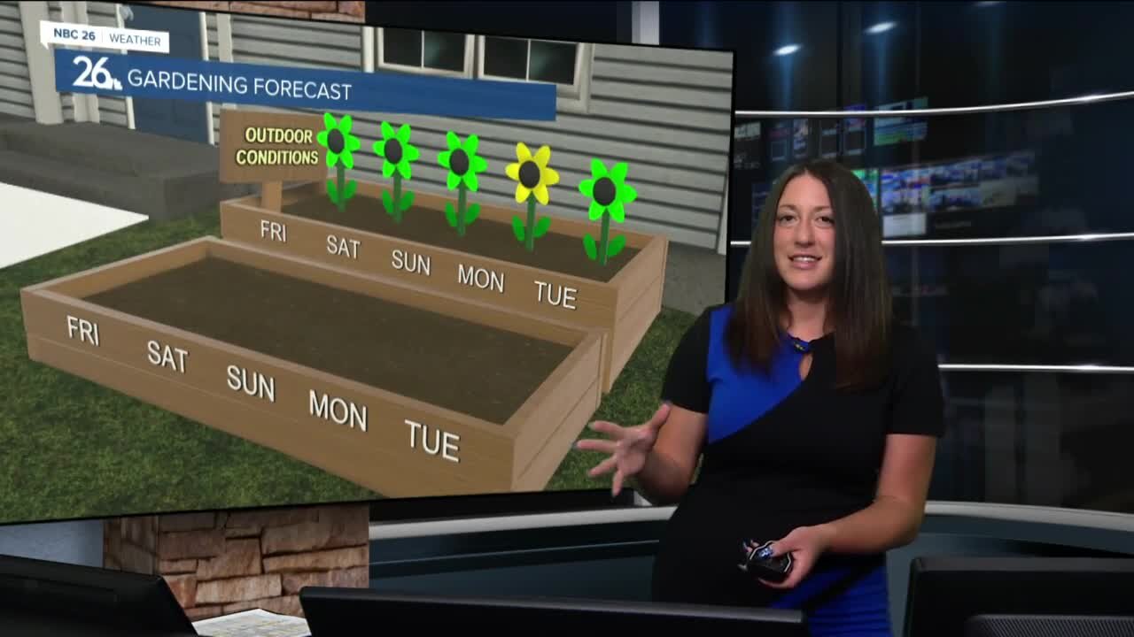 Brittney's Forecast