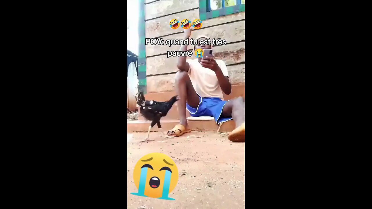 funny watch till the end #funny