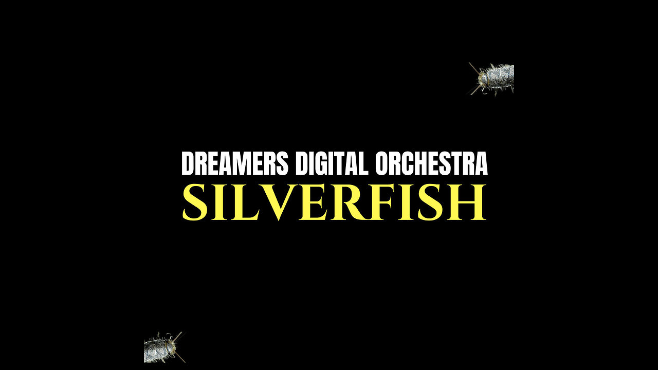 Dreamers Digital Orchestra | Silverfish