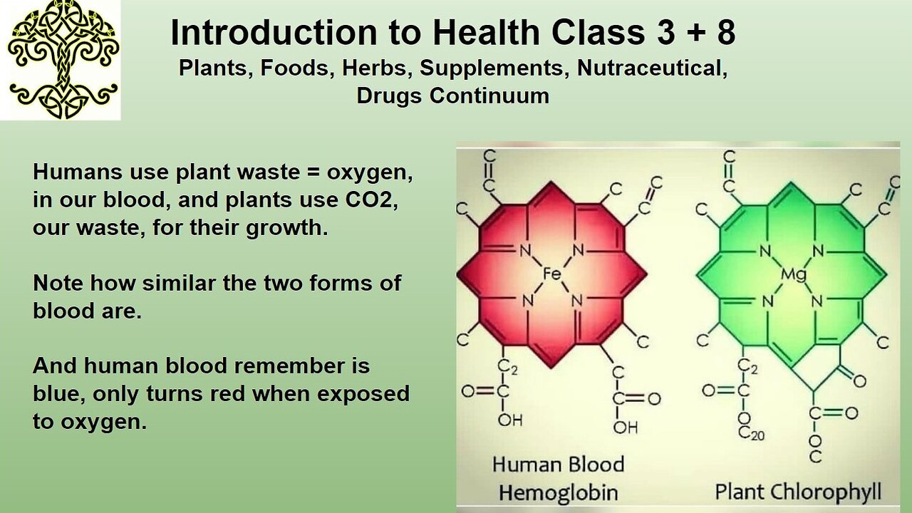 Personal Alkemy Introduction to Health Review Class 3 of 10 December 14 2023 - Personal Diets